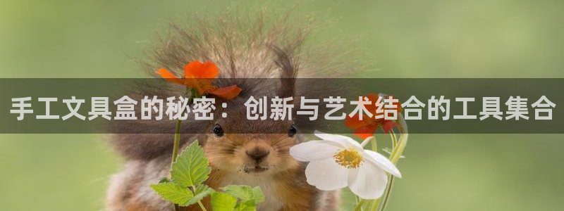 天顺商务宾馆娱乐：手工文具盒的秘密：创新