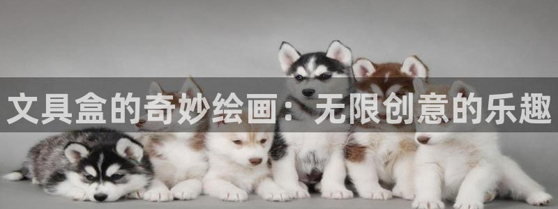 天顺娱乐10282推荐：文具盒的奇妙绘画