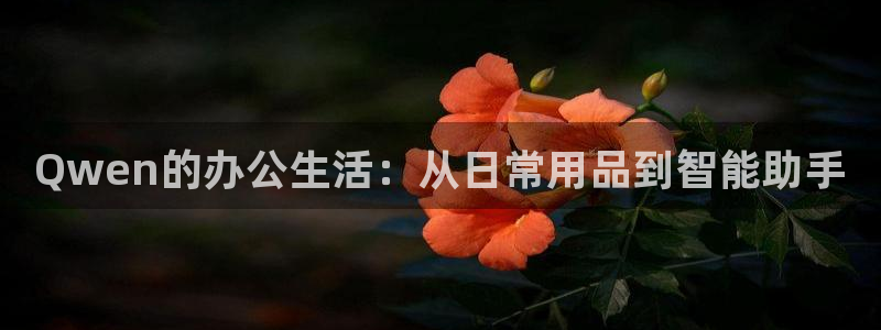 天顺娱乐02找32OO59：Qwen的办