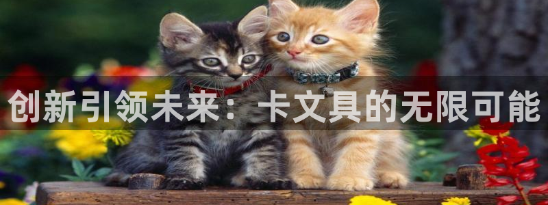 天顺娱乐跃943994：创新引领未来：卡