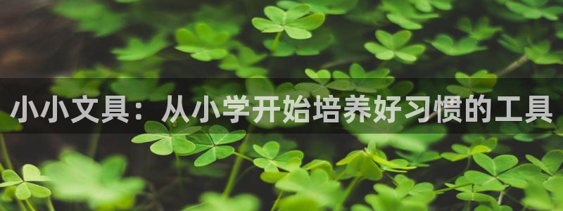 汝城天顺娱乐场所电话：小小文具：从小学开
