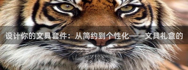 天顺娱乐拷33300j：设计你的文具套件