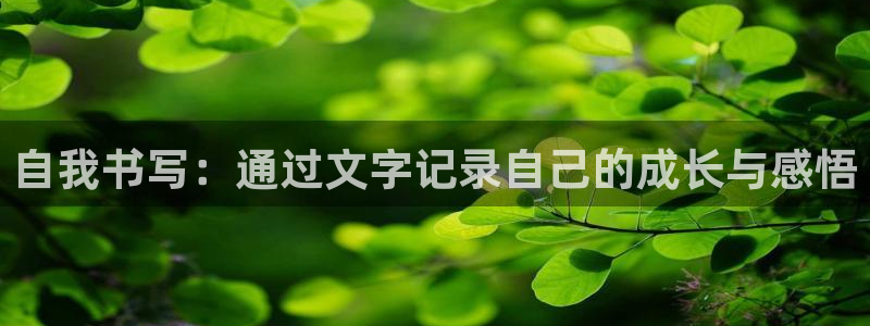 天顺娱乐拖72 559：自我书写：通过文