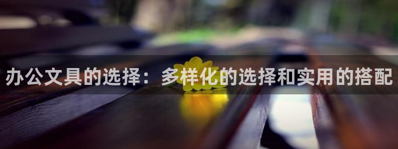 天顺娱乐公司：办公文具的选择：多样化的选