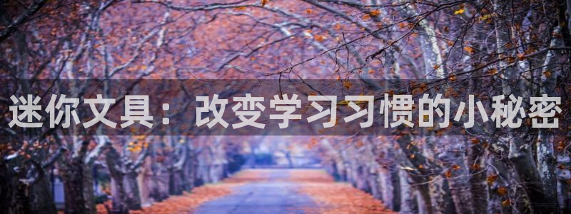 天顺娱乐T条29999：迷你文具：改变学