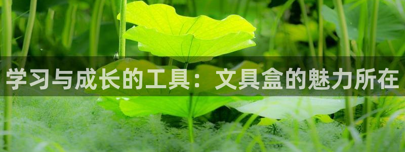 长沙天顺娱乐会所怎么样：学习与成长的工具