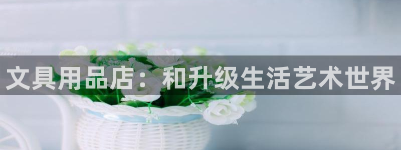 天顺娱乐鸟55312：文具用品店：和升级