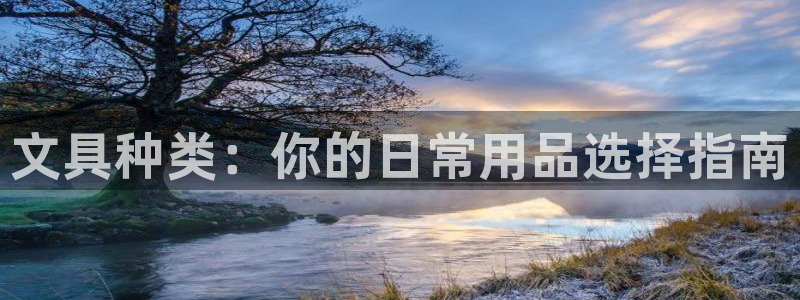 天顺娱乐兑疤：文具种类：你的日常用品选择