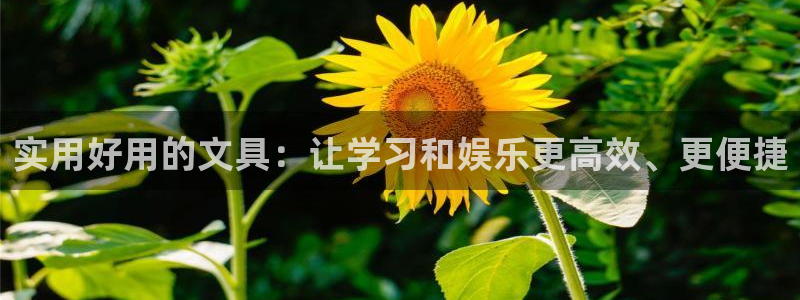 天顺娱乐手野22650：实用好用的文具：