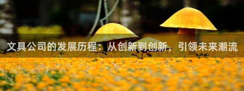 天顺娱乐妇943994：文具公司的发展历