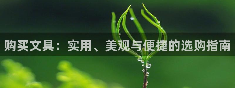 天顺娱乐忠78778卧：购买文具：实用、