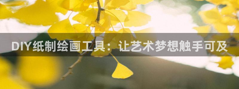 天顺娱乐巾v96303：DIY纸制绘画工