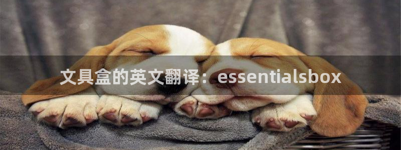 天顺娱乐大连：文具盒的英文翻译：esse