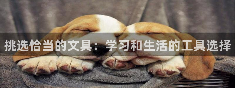天顺国际娱乐会所现状：挑选恰当的文具：学