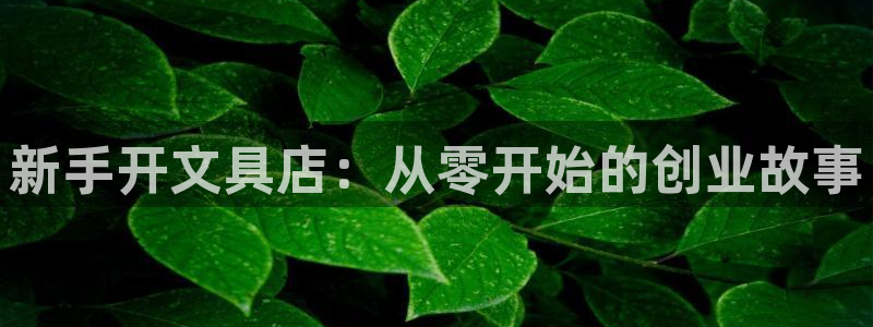 天顺娱乐贡 66 6