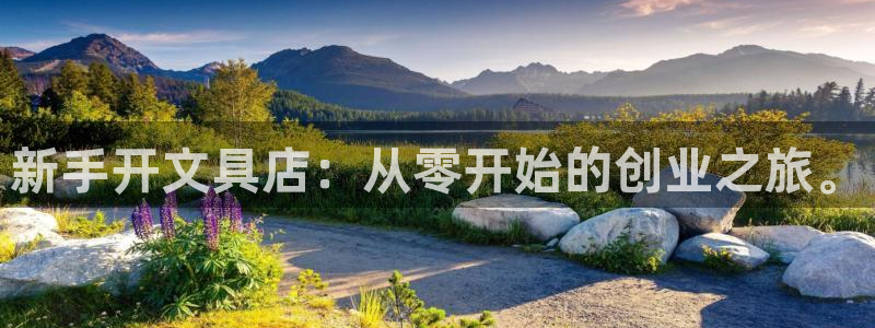 天顺娱乐耂金手指花总3：新手开文具店：从