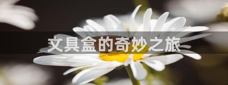 天顺娱乐挂机：文具盒的奇妙之旅