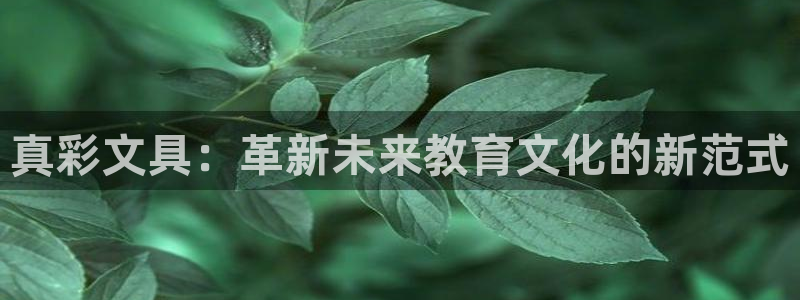 天顺娱乐 q96303：真彩文具：革新未